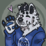 Koda_ArcticWolf